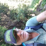 Photo de profil de Alain Pinard