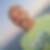 Photo de profil de Muller Pascal
