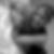 Photo de profil de Petit Peggy