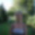 Photo de profil de Nathalie Morlot