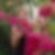 Photo de profil de Fabienne Rousset