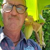 Photo de profil de Pascal Chalard