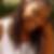 Photo de profil de Andréa Moudiki