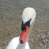 Photo de profil de Jacques Hadjadj