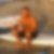 Photo de profil de Loic Le Cam