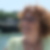 Photo de profil de Laurence Vauvert