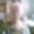 Photo de profil de Chantal Moussier