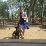 Photo de profil de Patricia Linet