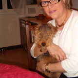 Photo de profil de Danielle Collin
