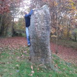 Photo de profil de Patrick Cuny