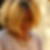 Photo de profil de Anne Duverger Chapuis