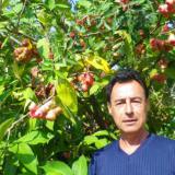Photo de profil de Serge Laine