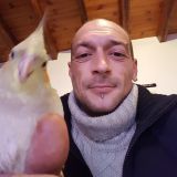 Photo de profil de Dominique Pendaries