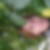Photo de profil de Africa Moreno