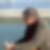 Photo de profil de Andre Pichon