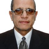 Photo de profil de Mohamed Abdelaziz Arab