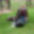 Photo de profil de Denis Bernard