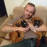 Photo de profil de Marc Gerard