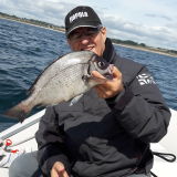 Photo de profil de Pascal Pineau