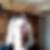 Photo de profil de Elodie Mary