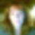 Photo de profil de Laurence Renard