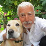Photo de profil de Francois Labat