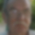 Photo de profil de Jacques Larrouy 