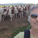 Photo de profil de Didier Laffont