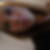 Photo de profil de Manon Lecocq