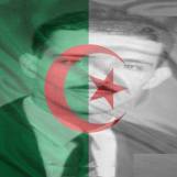 Photo de profil de Messaoud Kias