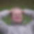 Photo de profil de Dominique Noe