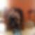 Photo de profil de Celine Brun