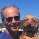 Photo de profil de Thierry Robert