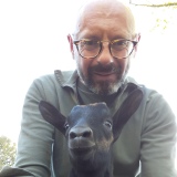 Photo de profil de Cyrille Ferro-Steyaert