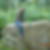 Photo de profil de Sylvie Lelong