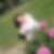 Photo de profil de Marie Line Dubois
