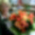 Photo de profil de Liliane Ciron