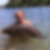 Photo de profil de Jacques Forest