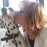 Photo de profil de Isabelle Mayer