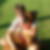 Photo de profil de Martine Roy