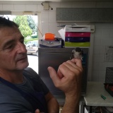Photo de profil de Hervé Panhaleux