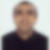 Photo de profil de James Nestor