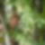Photo de profil de Catherine Gissat