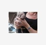 Photo de profil de Christine Heim Cha