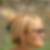 Photo de profil de Marie Roche