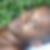 Photo de profil de Louis Oliveira