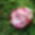Photo de profil de Marie Luce Bigand