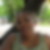 Photo de profil de Marie-Aline Germany
