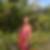 Photo de profil de Chantal Douillard
