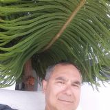 Photo de profil de Vincent Tran